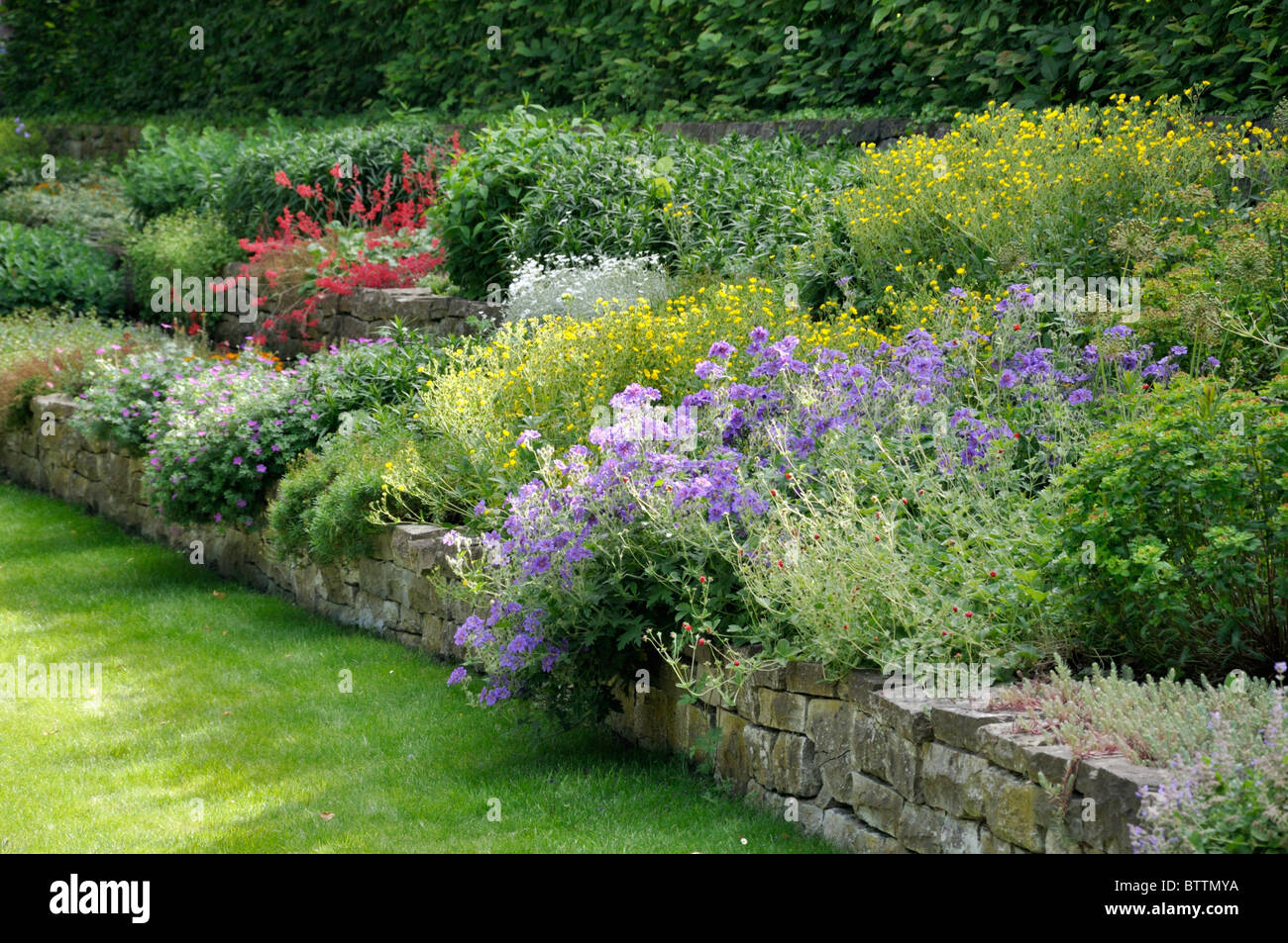 Jardin de plantes vivaces avec mur en pierre sèche Banque D'Images