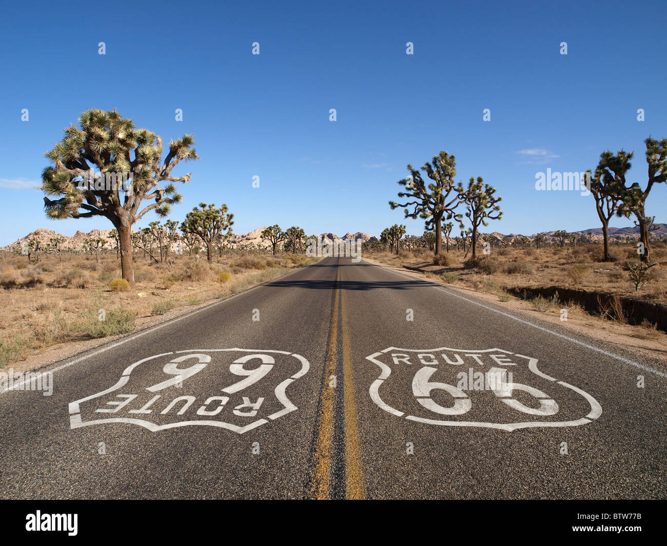 La route 66 avec Joshua Trees profondément dans le désert de Mojave en Californie. Banque D'Images