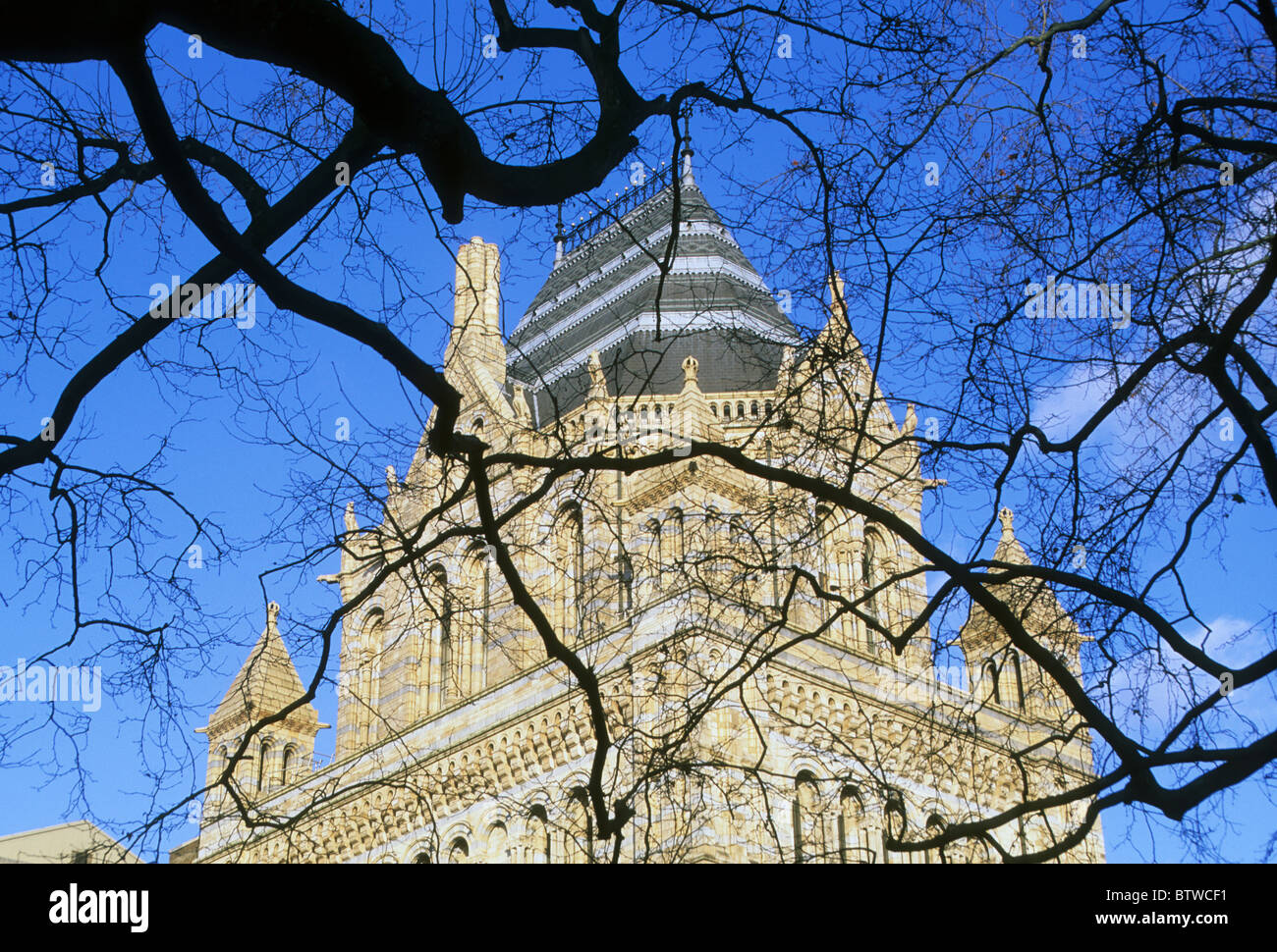 Royaume-uni, Angleterre, Londres, South Kensington, Musée d'Histoire Naturelle. Banque D'Images