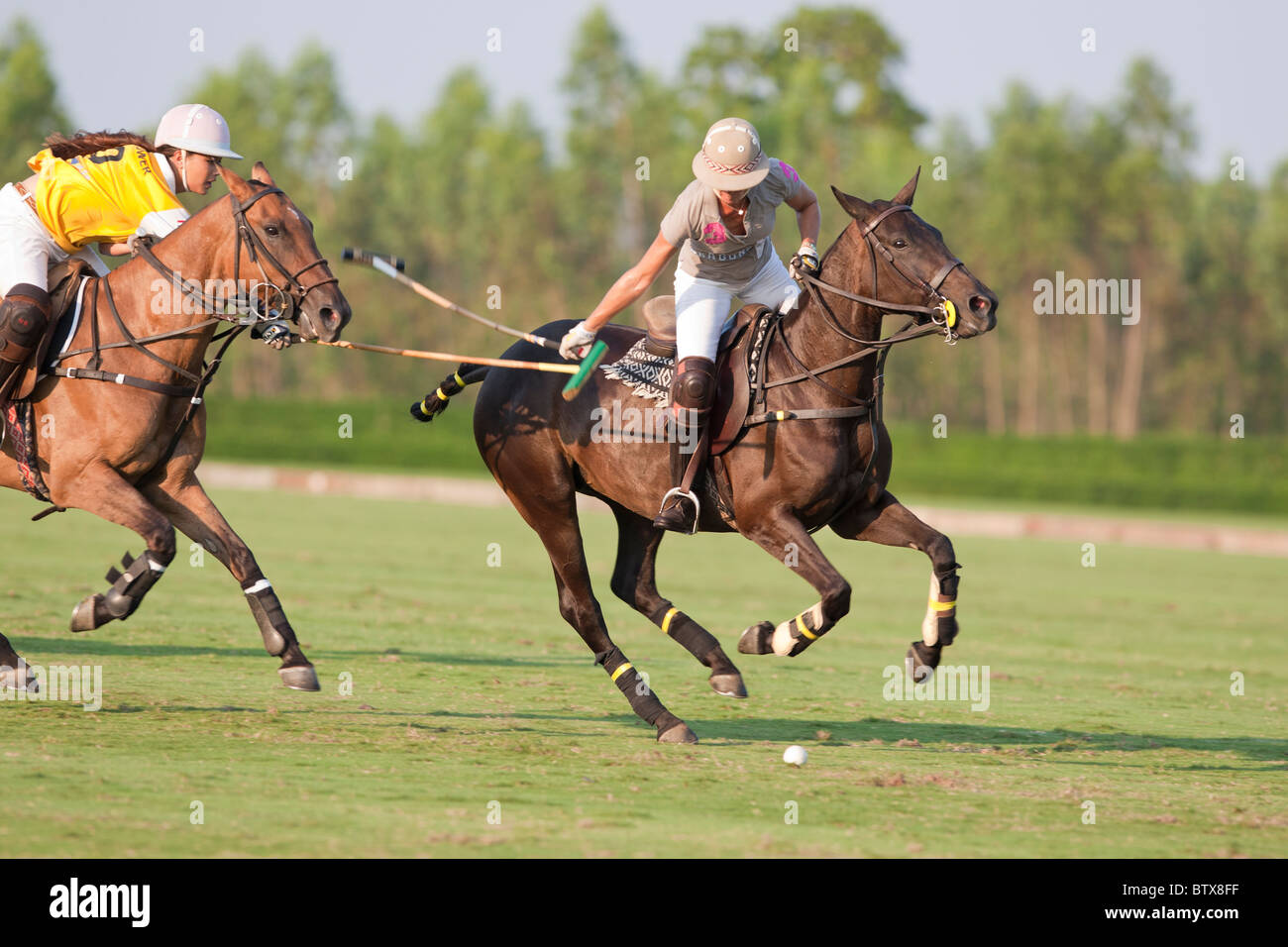 Deux joueurs de polo femme pursuse la balle Banque D'Images