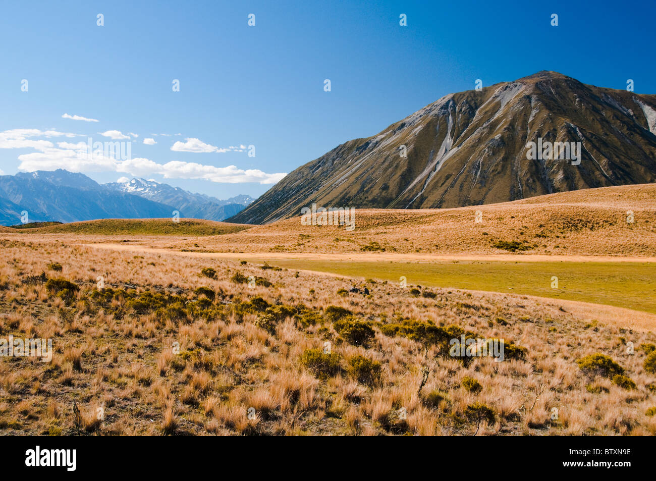 Ben Ohau Chaîne de montagnes, Ruataniwha Conservation Park,rives du lac Ohau, comté de Mackenzie,Île du Sud, Nouvelle-Zélande Banque D'Images