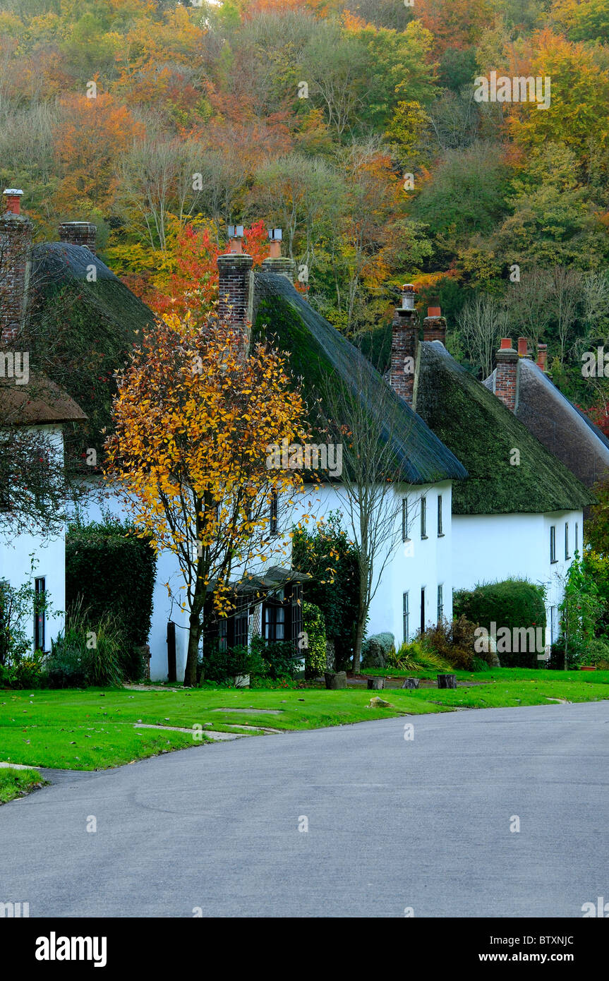 Milton Abbas, le célèbre Dorset village entouré de collines de craie, à l'automne avec chaumières. Dorset, UK Octobre 2010 Banque D'Images