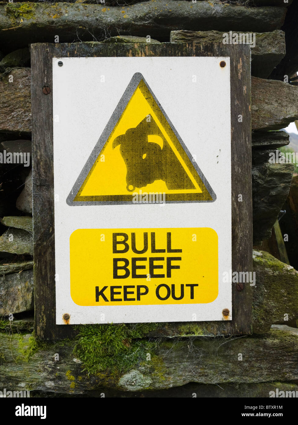 Un panneau d'avertissement des taureaux dans une ferme du parc national de Lake District, en Angleterre Banque D'Images