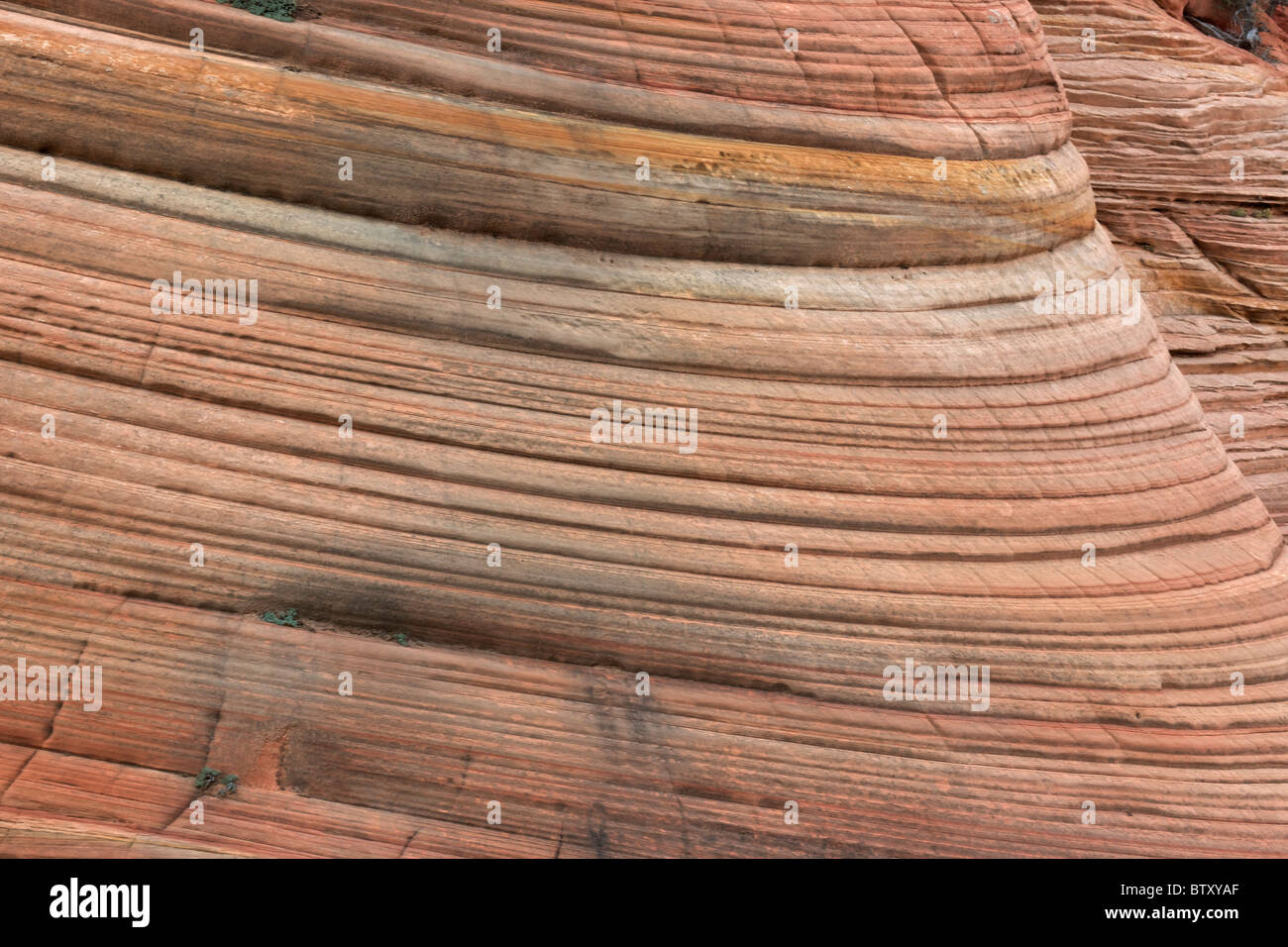 Le parc national de Zion - Utah - USA - montrant les couches de grès en lits Banque D'Images