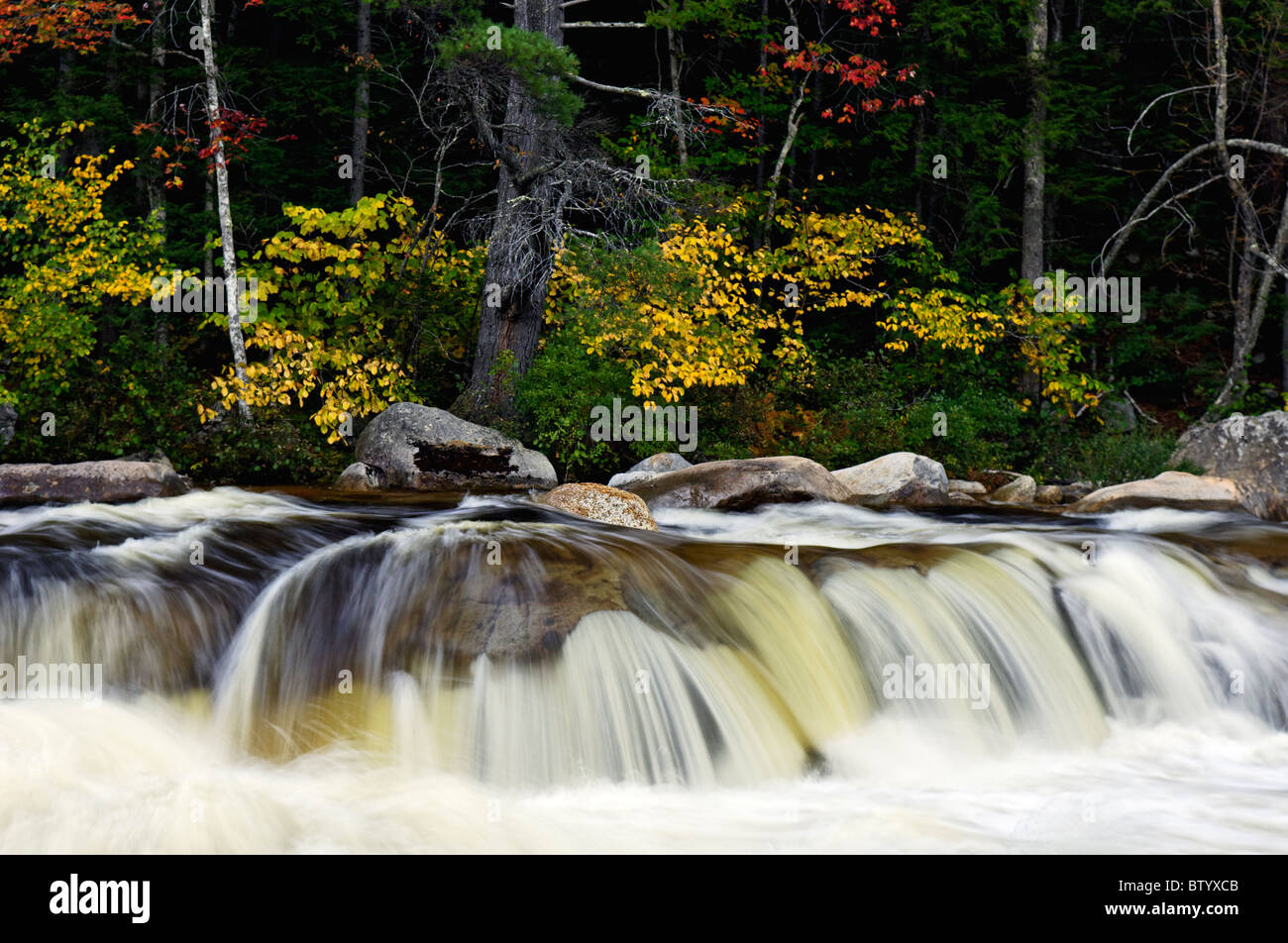 Lower Falls sur la rivière avec la couleur en automne dans la forêt nationale des Montagnes Blanches du New Hampshire Banque D'Images