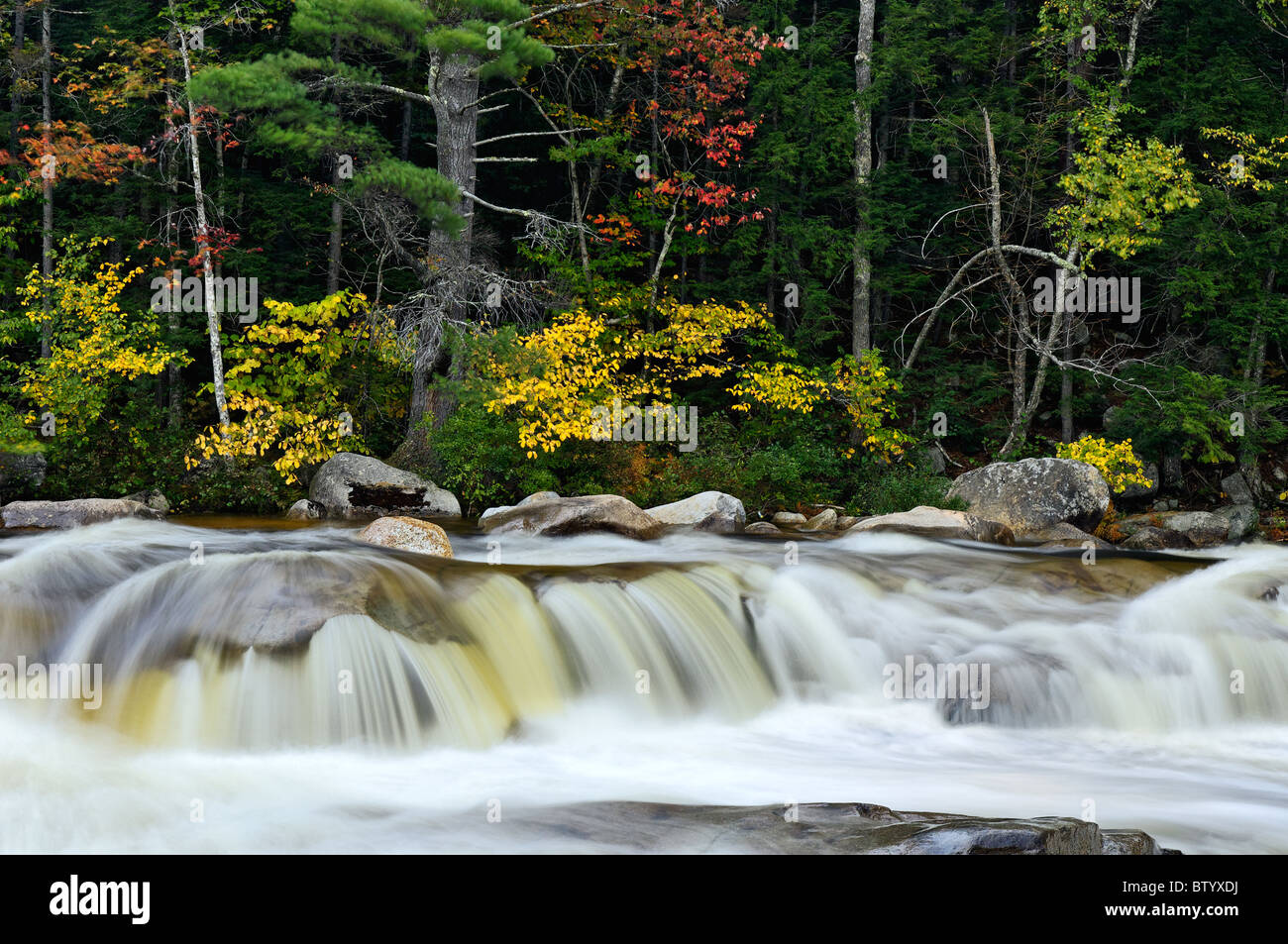 Lower Falls sur la rivière avec la couleur en automne dans la forêt nationale des Montagnes Blanches du New Hampshire Banque D'Images