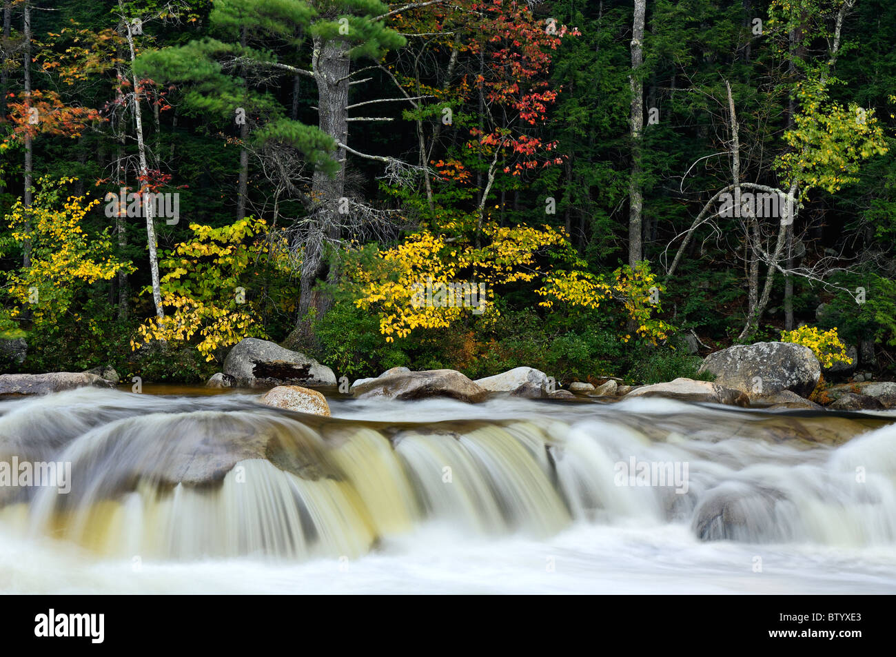 Lower Falls sur la rivière avec la couleur en automne dans la forêt nationale des Montagnes Blanches du New Hampshire Banque D'Images