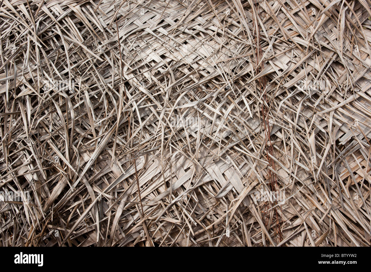 Tapis de feuilles de palmiers tissés Banque D'Images