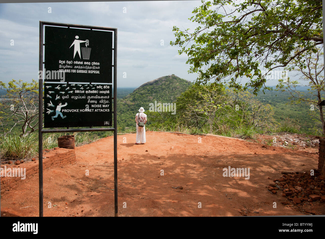 Hornet, attaque la forteresse du Rocher de Sigiriya, Sri Lanka, escalier Lion Banque D'Images