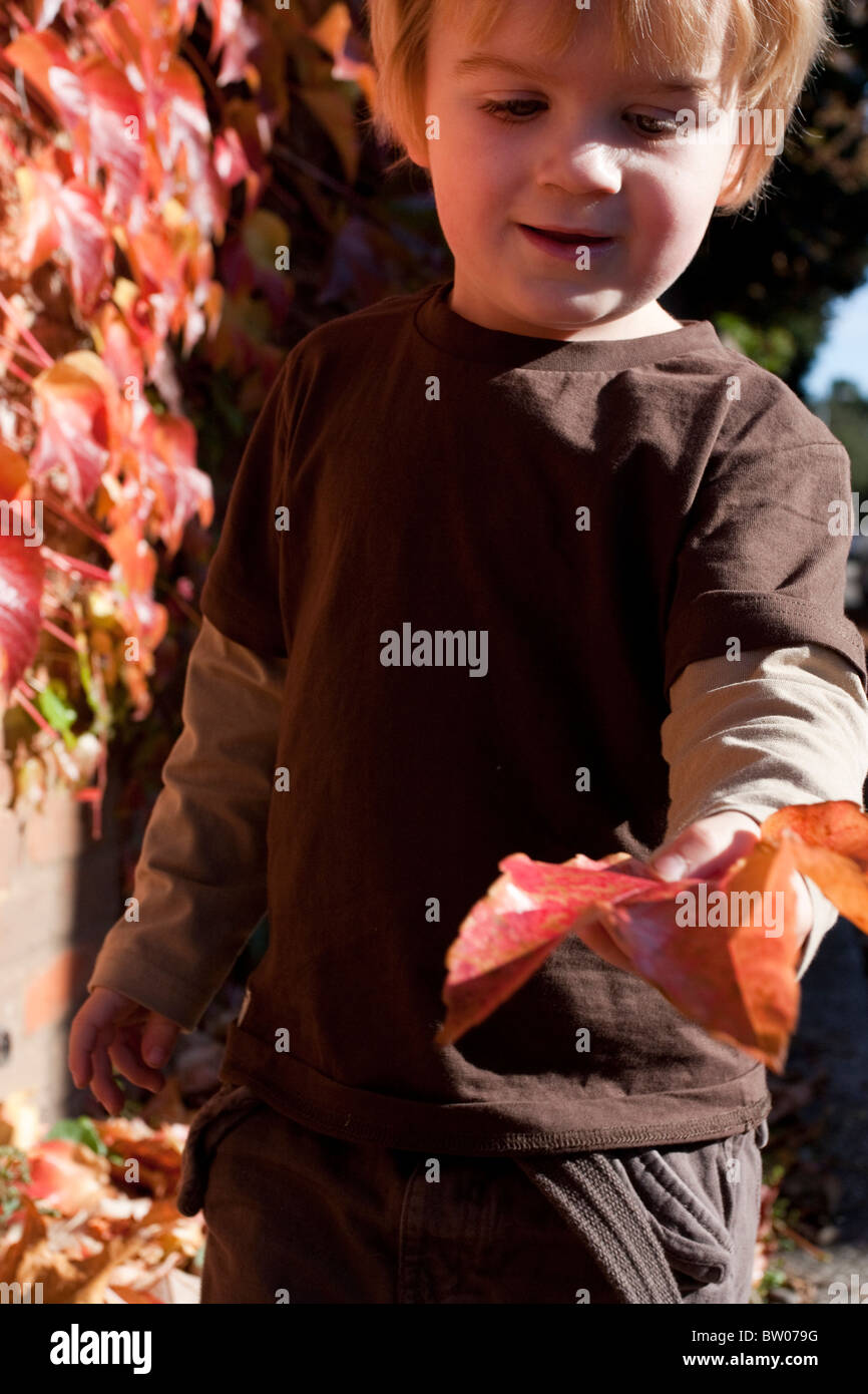 Petit garçon de 3 ans jouant dans les feuilles d'automne Banque D'Images