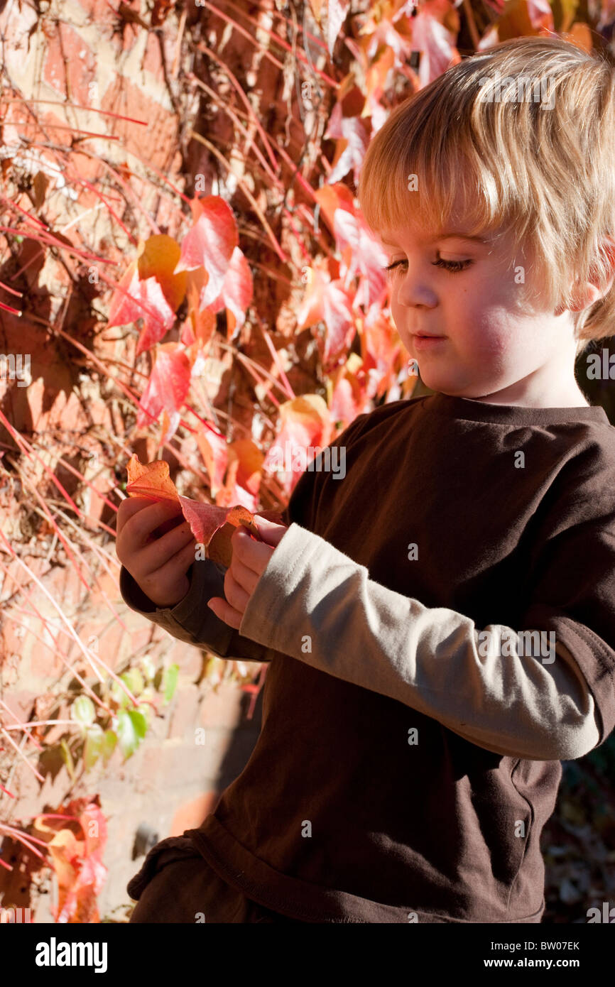 Trois ans vieux garçon blond jouant avec des feuilles d'automne Banque D'Images