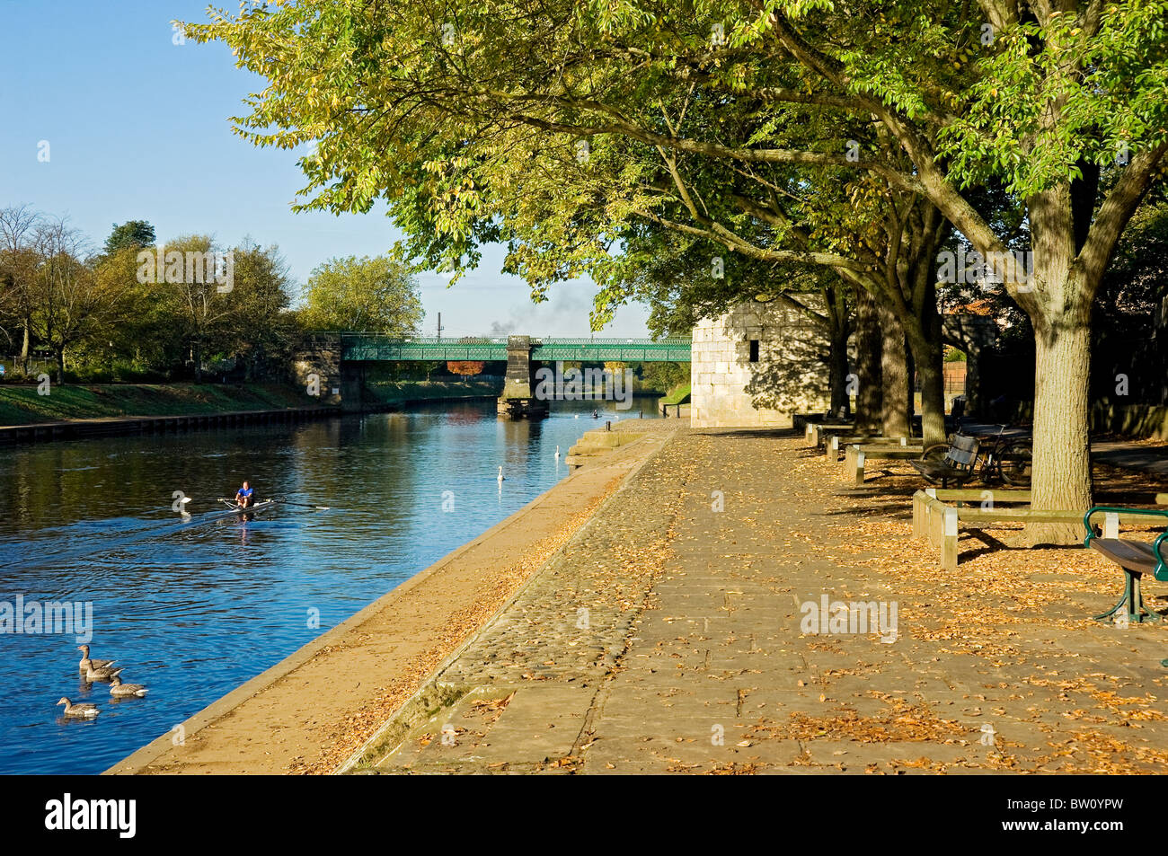 Vue sur le pont de Scarborough en traversant la rivière Ouse en automne York North Yorkshire Angleterre Royaume-Uni GB Grande-Bretagne Banque D'Images