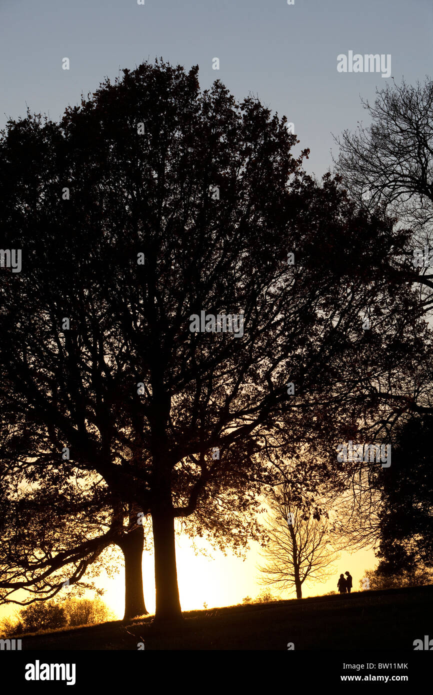 Un ciel d'hiver lumineux arbres hiver décrit sur une colline sur la célèbre park, Hampstead Heath.Couple sur l'horizon. Banque D'Images