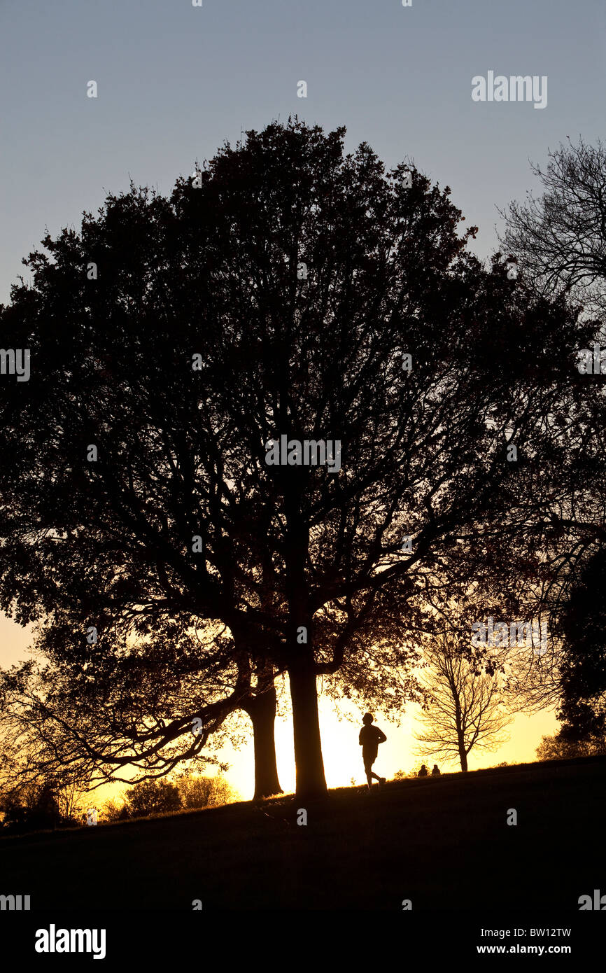 Un jogger s'exécute par le ciel d'hiver lumineux décrit les arbres hiver sur une colline sur la célèbre park, Hampstead Heath. Banque D'Images