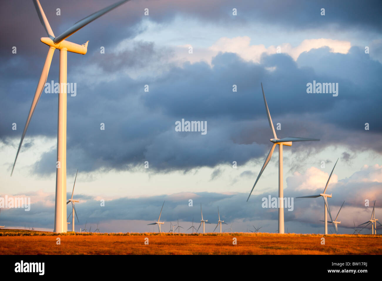 Crépuscule sur Whitelee wind farm on Eaglesham Moor juste au sud de Glasgow en Ecosse, Royaume-Uni, est le plus grand parc éolien onshore. Banque D'Images