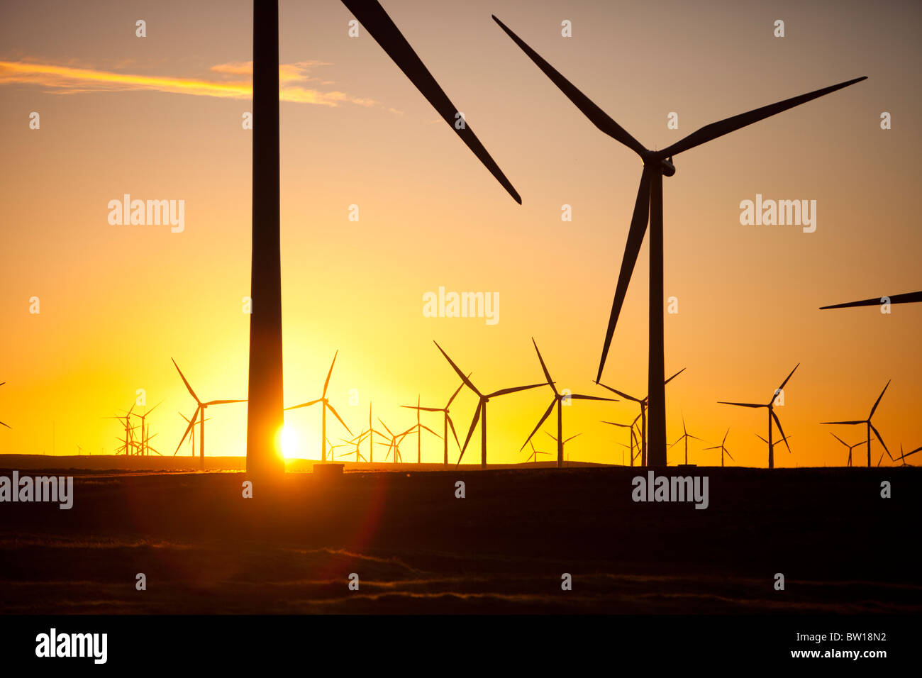 L'aube sur Whitelee wind farm on Eaglesham Moor juste au sud de Glasgow en Ecosse, Royaume-Uni, est le plus grand parc éolien onshore. Banque D'Images