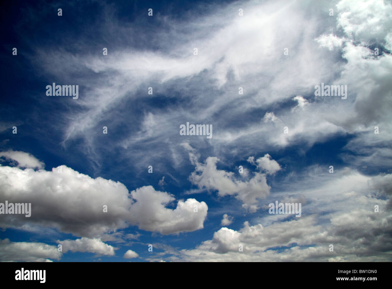 Les cirrus et Cumulus avec blue sky over Georgia, USA. Banque D'Images