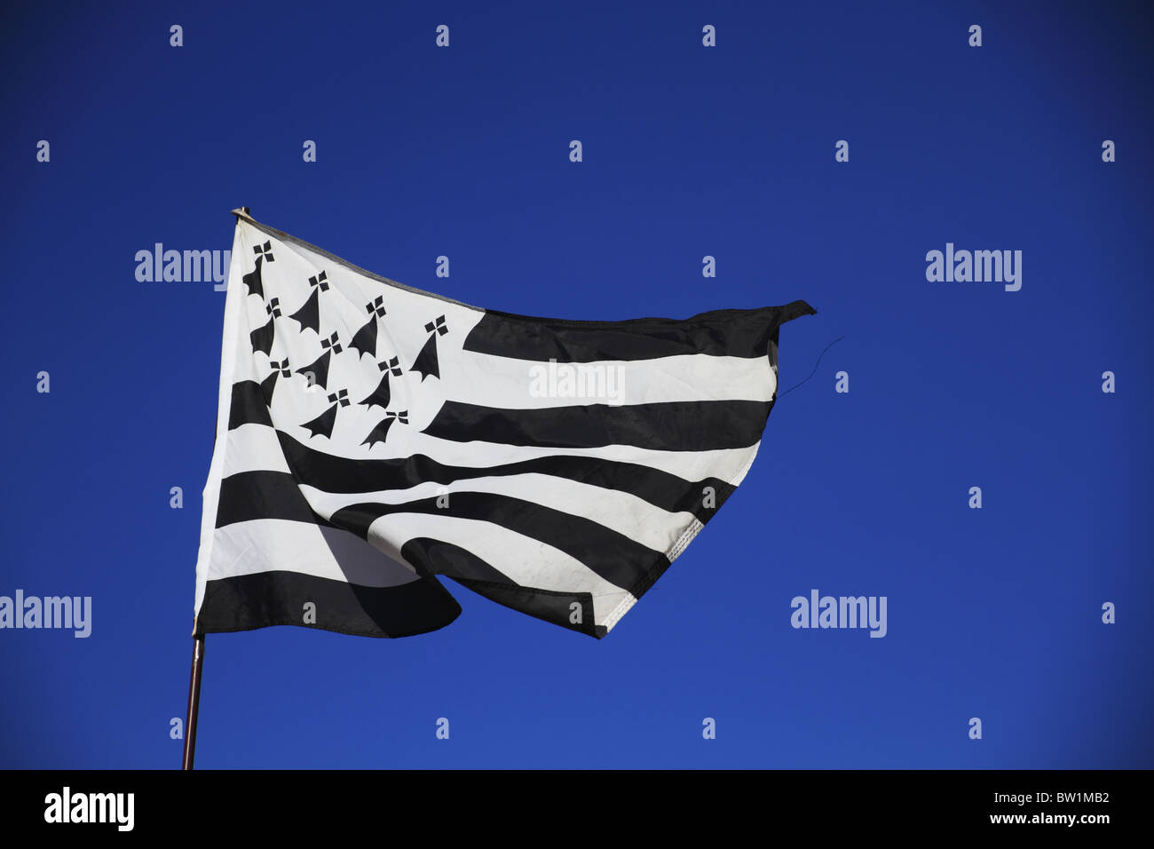 Sweat à Capuche Hermine Bretonne Avec Drapeau Gwenn Ha Du Et Triskèle - Fierté De La Bretagne
