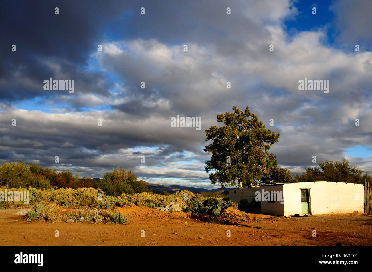 Paysage désertique. L'Afrique du Sud. Banque D'Images