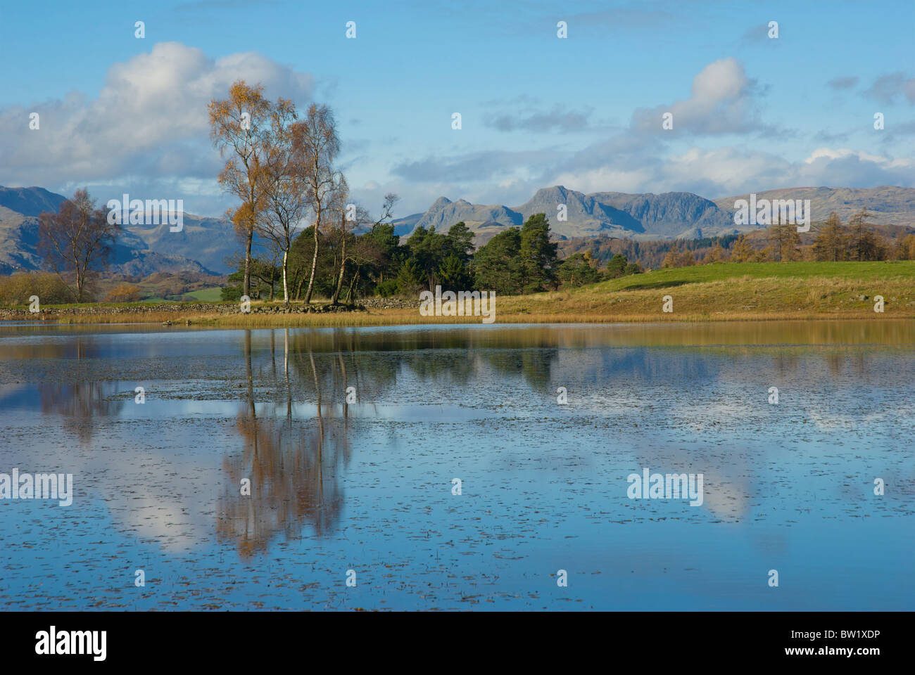 Een sage Tarn, Loweswater Heights, Parc National de Lake District, Cumbria, Angleterre, Royaume-Uni Banque D'Images