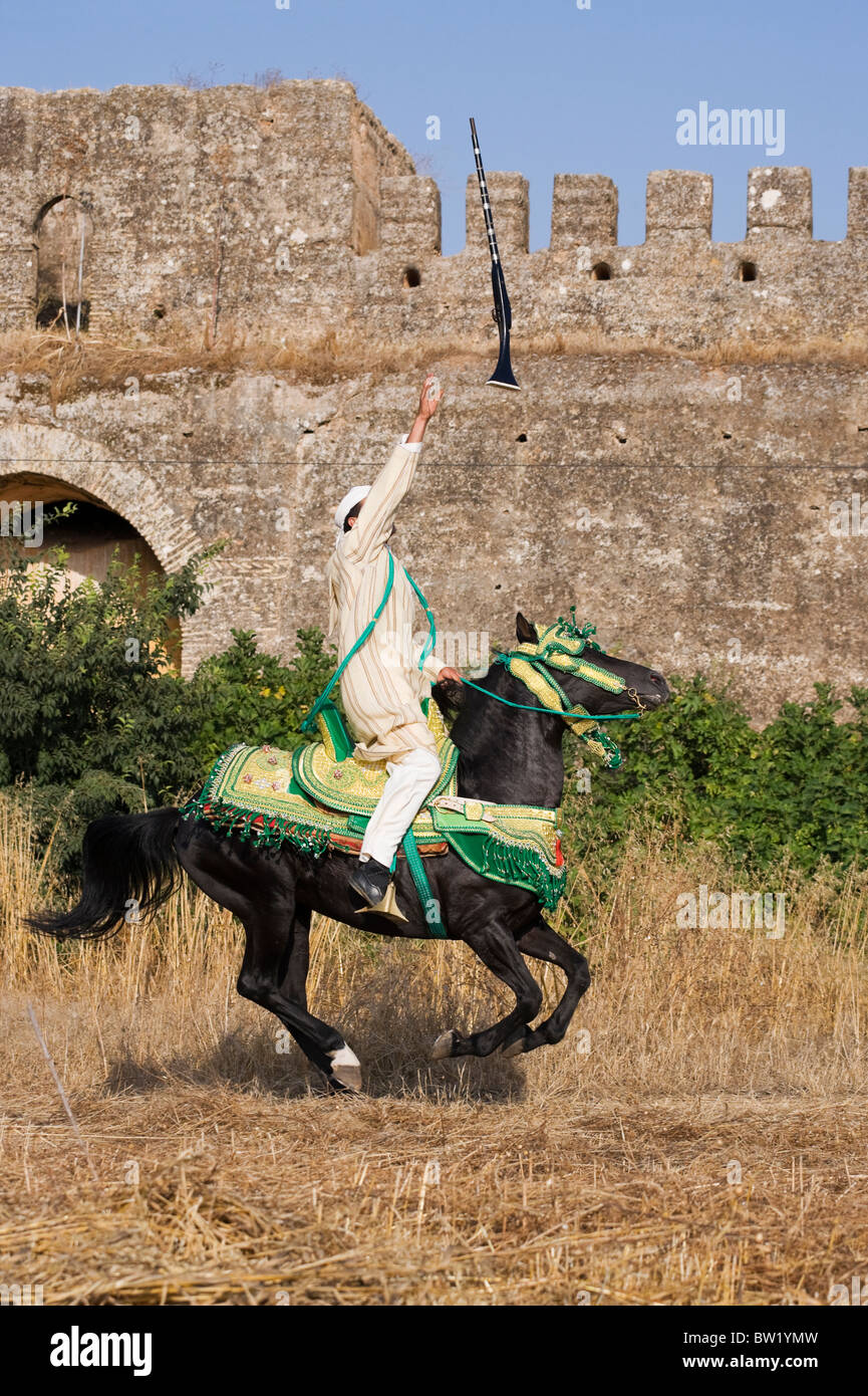 Maroc Festival Fantasia Tradition cheval-cavalier Banque D'Images
