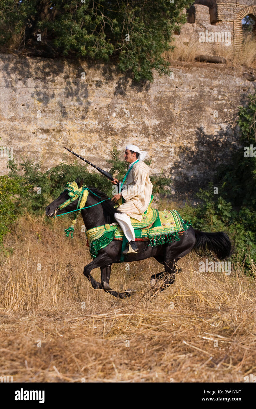 Maroc Festival Fantasia Tradition cheval-cavalier Banque D'Images