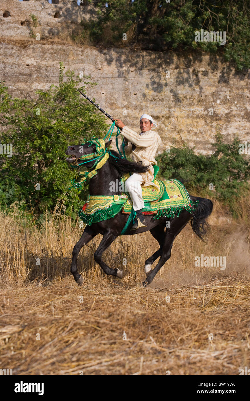 Maroc Festival Fantasia Tradition cheval-cavalier Banque D'Images