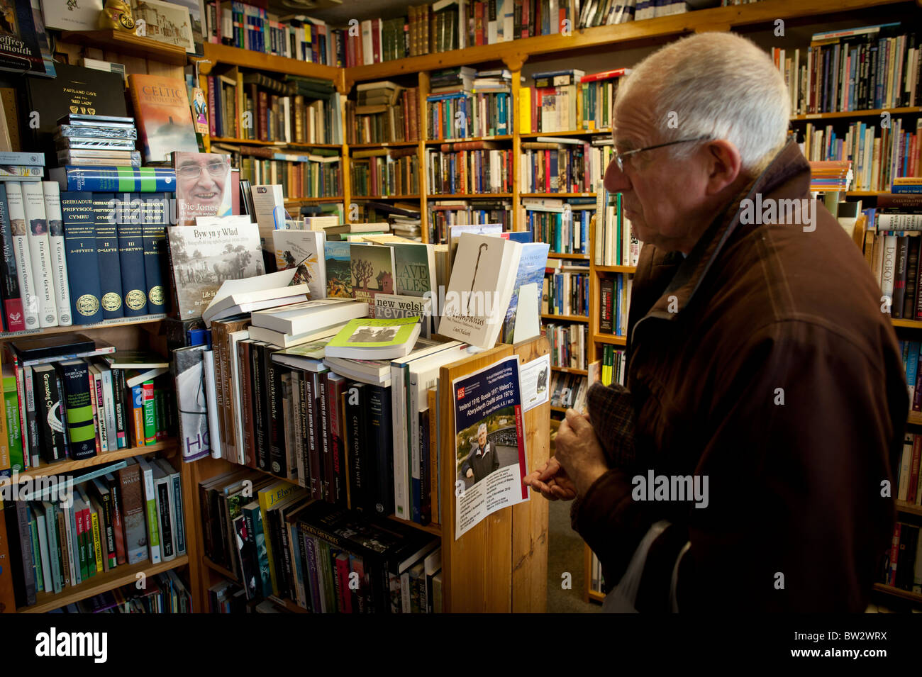 Un homme parcourt le gallois en livres neufs et d'Ystwyth Livres librairie indépendante, Aberystwyth Wales UK Banque D'Images