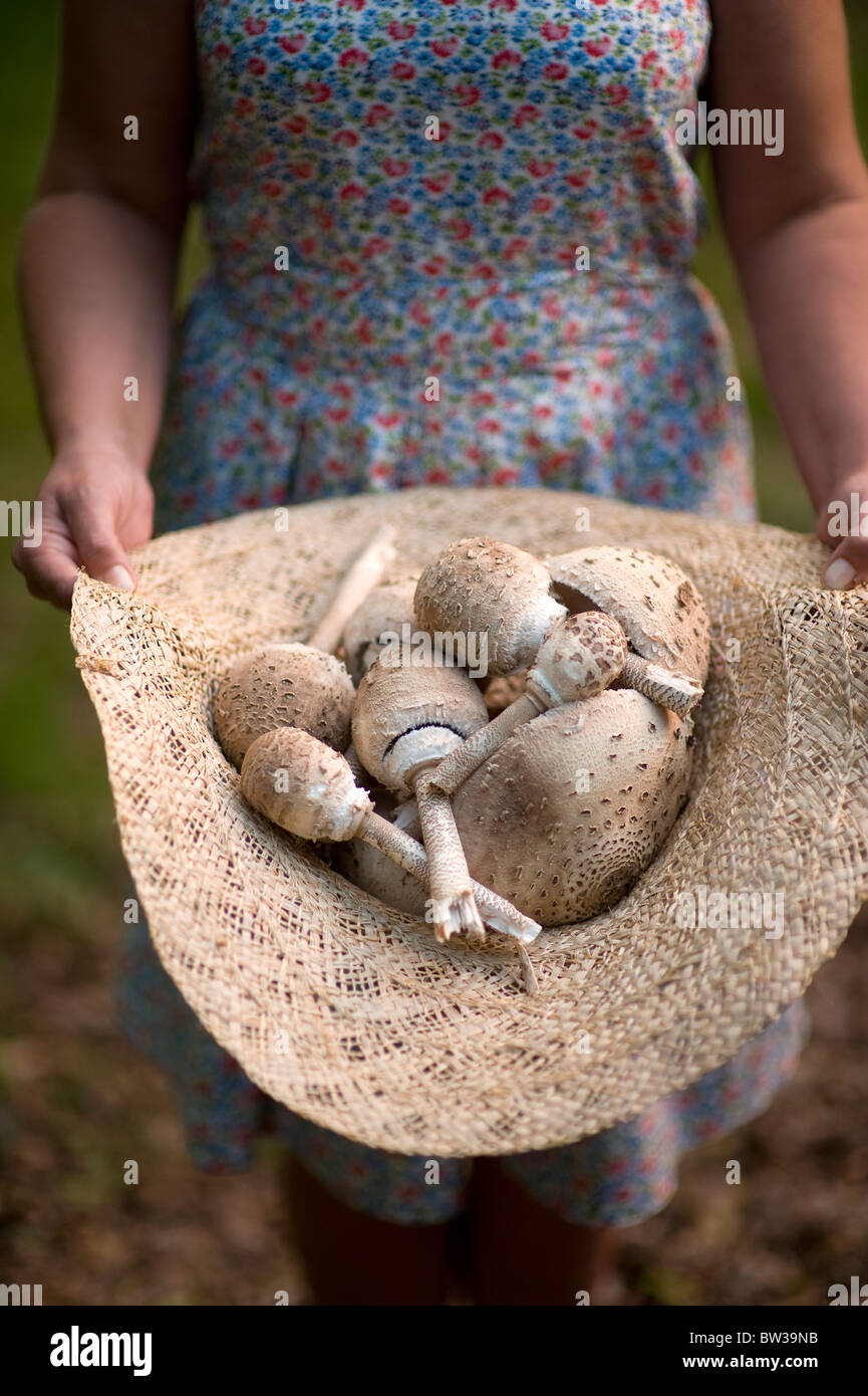 Femme tenant un parasol récoltés les champignons (Macrolepiota procera) dans un chapeau de paille Banque D'Images