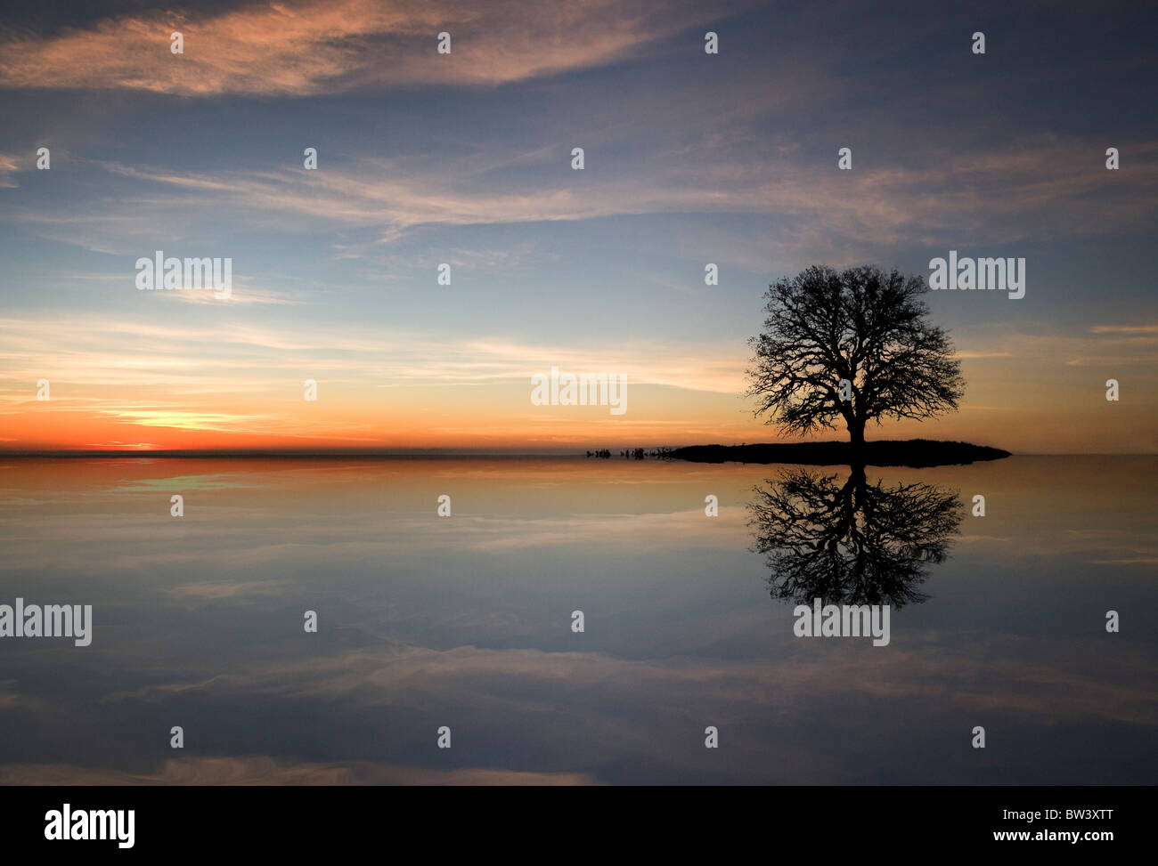 Un lone Oak tree se trouve sur une île, tandis que sa silhouette se reflète dans l'eau avec un beau coucher de soleil Banque D'Images