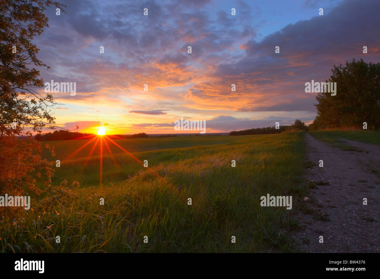Coucher du soleil sur les collines de la région des prairies de l'Alberta Banque D'Images