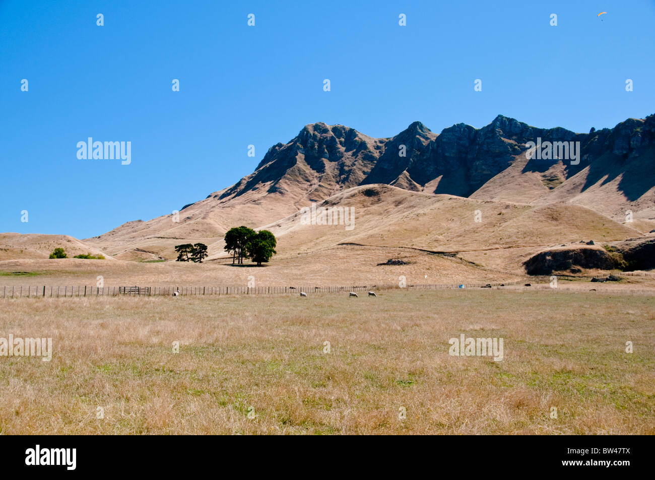 Te Mata Peek,Vallée de la rivière Tukituki,Te Mata,Rd,Collines de Kaokaoroa,Plages de Raukawa, Hawke's Bay, Havelock North, Nouvelle-Zélande Banque D'Images