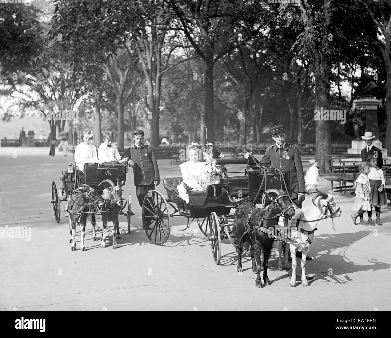 Central Park, chèvre calèches dans le parc, la ville de New York vers 1910 Banque D'Images