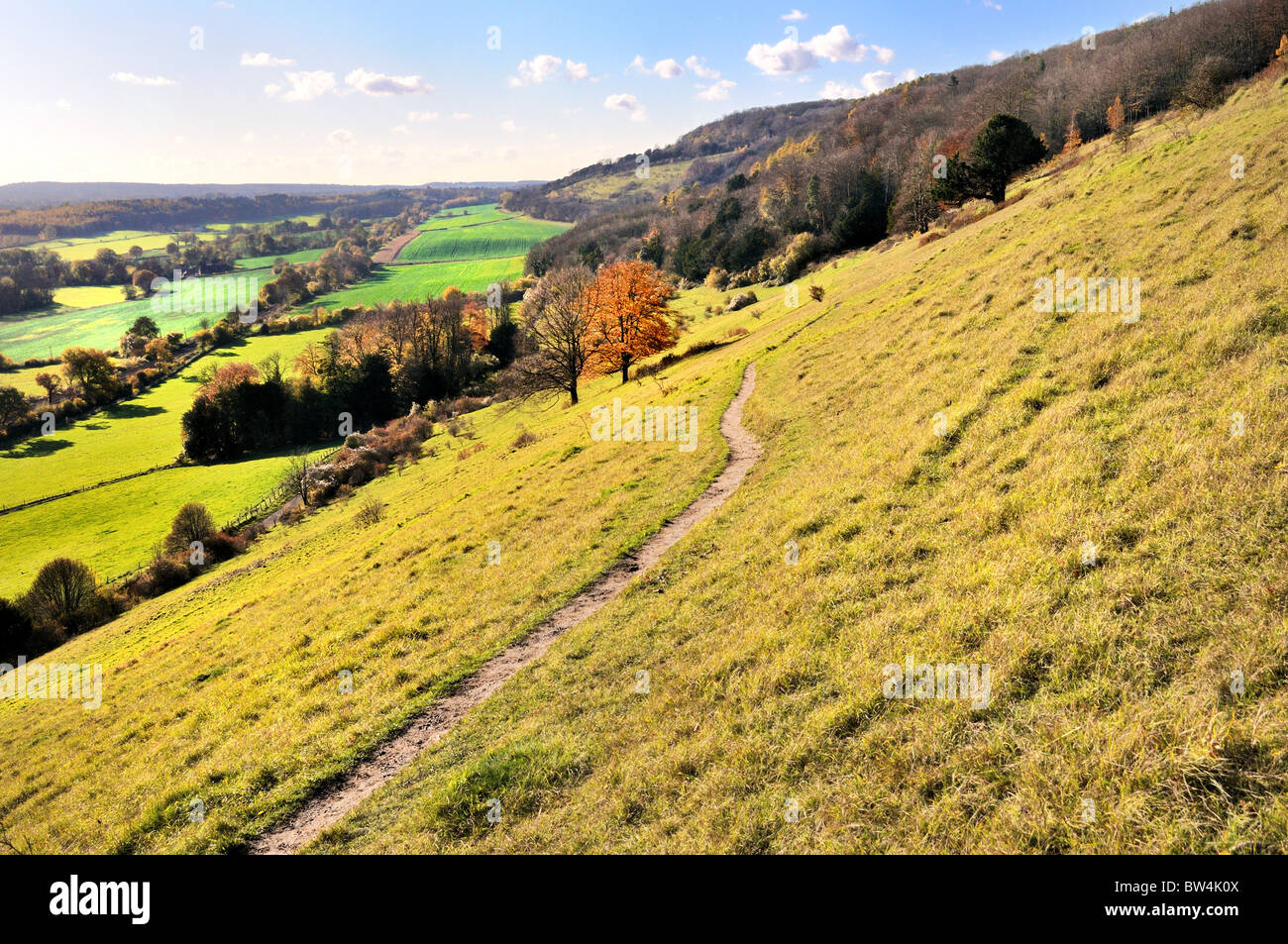 North Downs près de Dorking Surrey , Banque D'Images