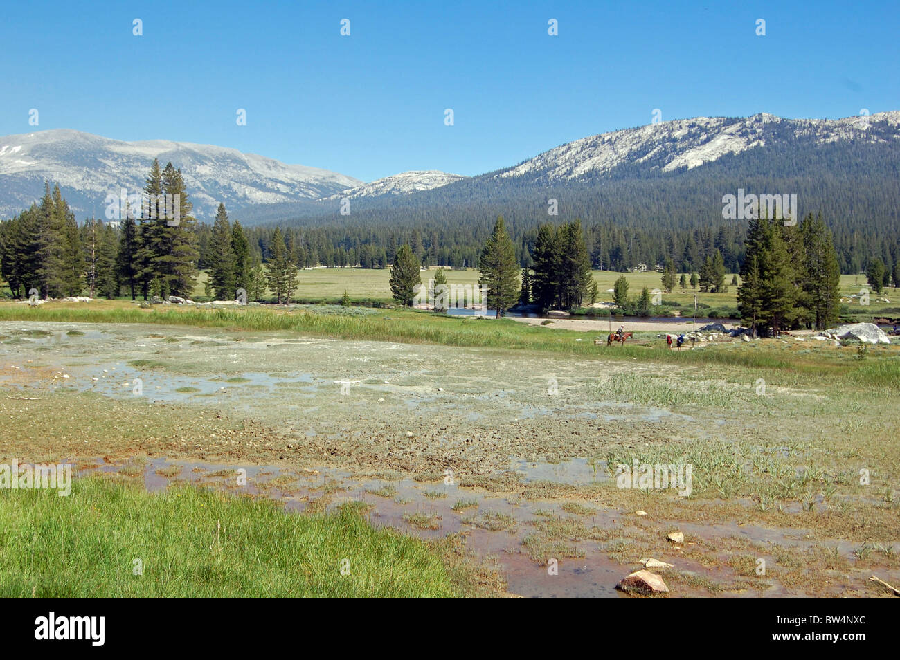 Vue sur soda springs et prairies tuolumne Banque D'Images