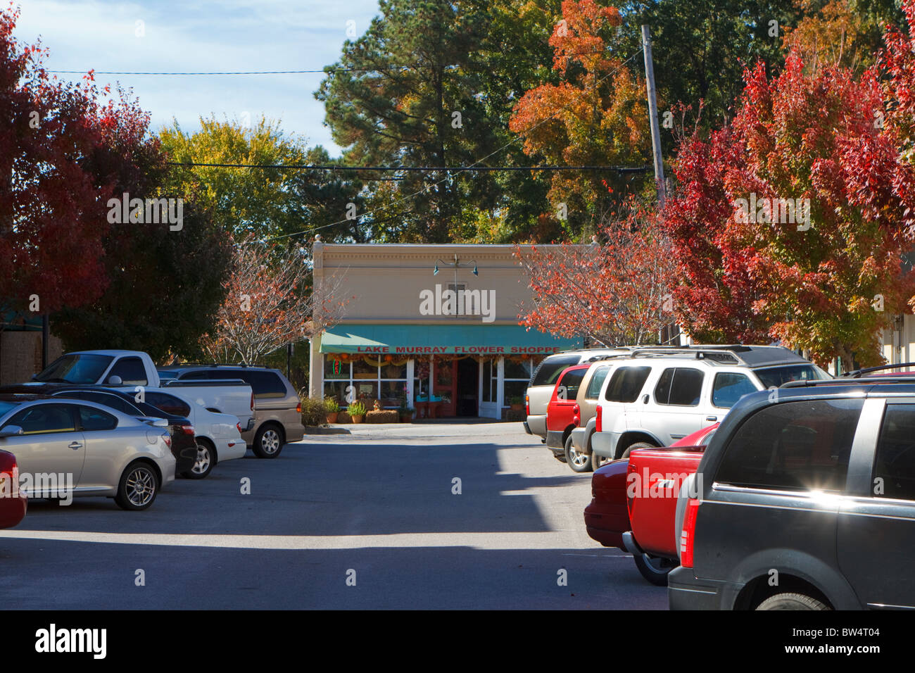 Les petites entreprises le long de la rue de Beaufort dans Chapin, SC à l'automne. Chapin est une petite ville située dans le centre de la Caroline du Sud, USA. Banque D'Images