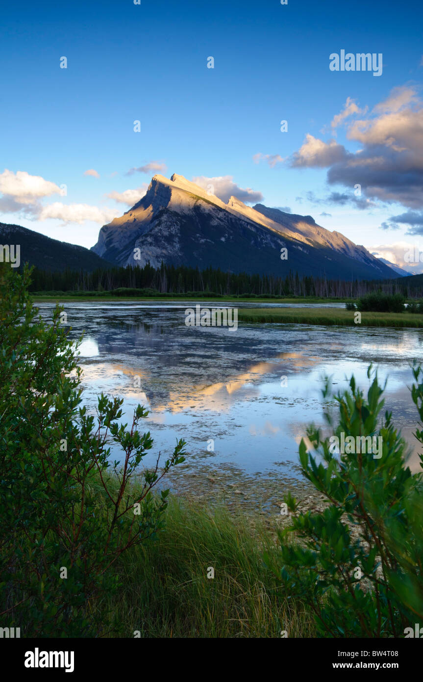 Le mont Rundle de lacs Vermilion, parc national de Banff. Banque D'Images