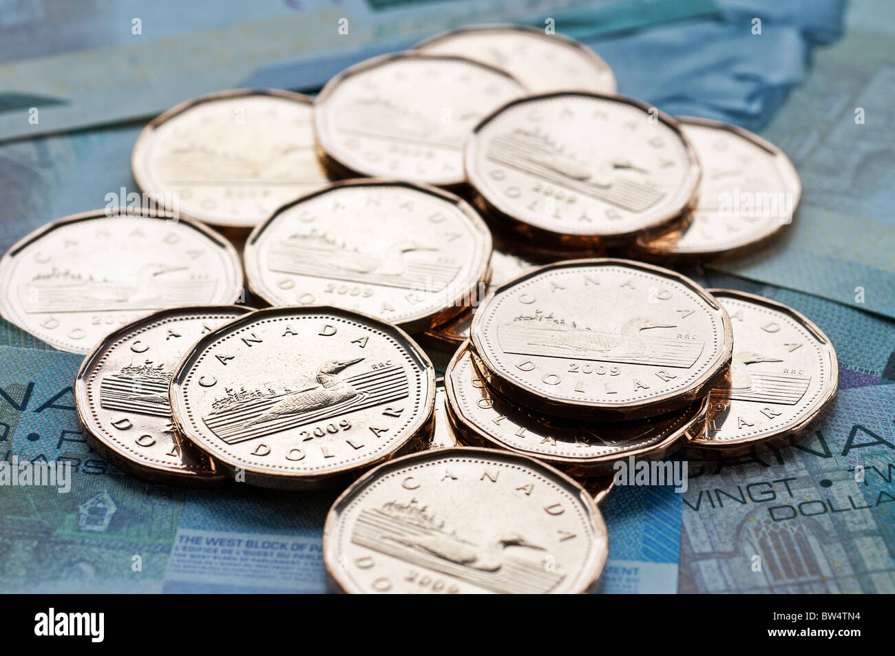 Un grand angle vue rapprochée d'un dollar canadien, communément appelé "huard", des pièces de monnaie sur le dessus de 5 et 20 dollars. Banque D'Images