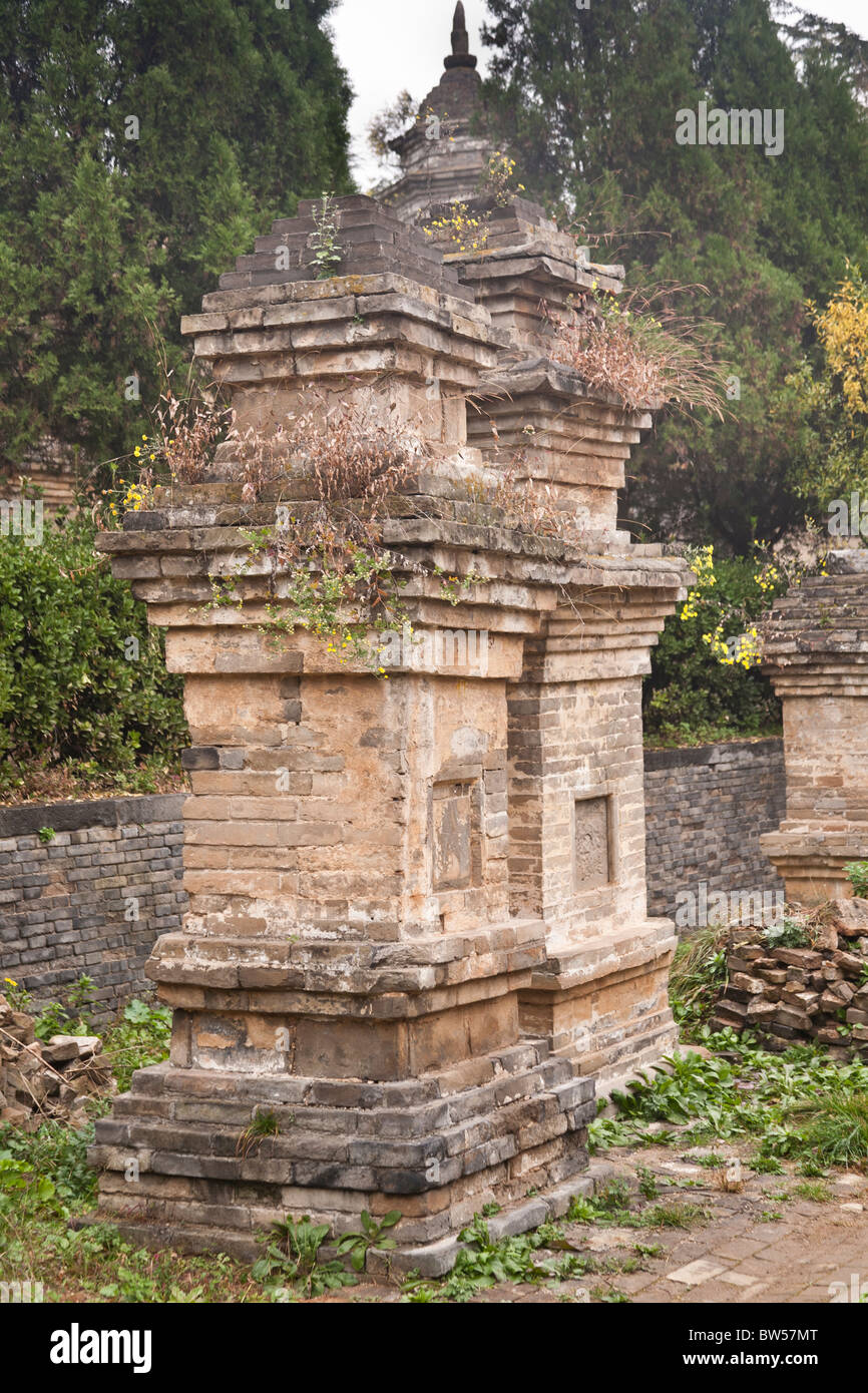 Les pagodes dans la Pagode du Temple de Shaolin, cimetière de la forêt, de la chanson, Shan près de Zhengzhou, province de Henan, Chine, Dengfeng Banque D'Images