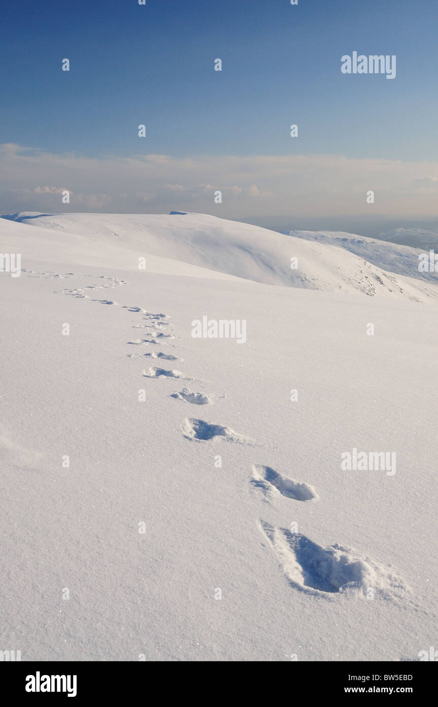 Des traces de pas dans la neige sur Helvellyn dans le Lake District Banque D'Images