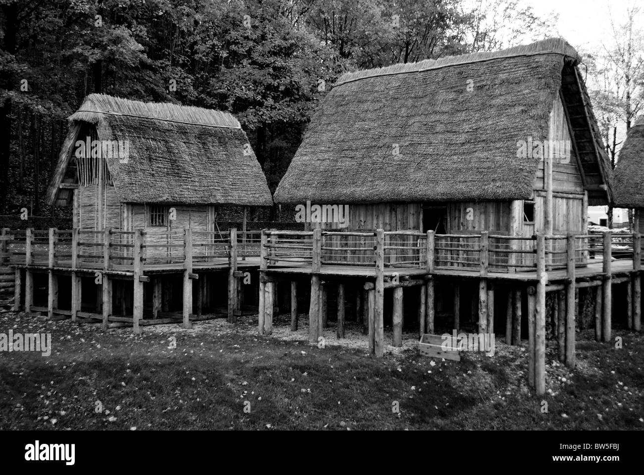 Pilotis sur le lac préhistorique représentant de la construction Banque D'Images