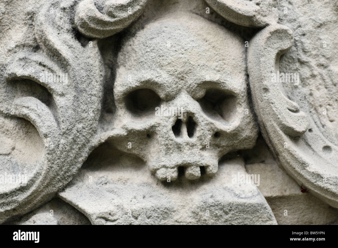 Sculpture crâne sur une pierre tombale. Banque D'Images