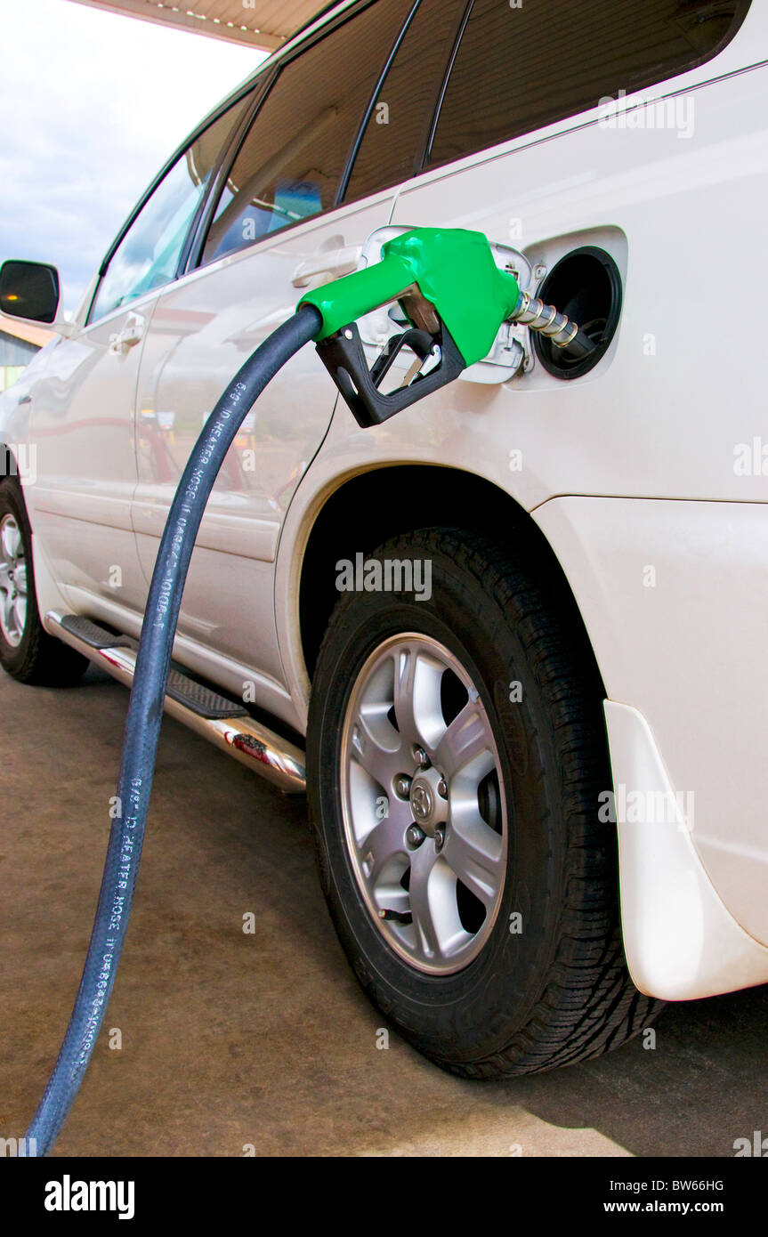 Flexible et buse gaz inséré dans le réservoir d'essence automobile Banque D'Images