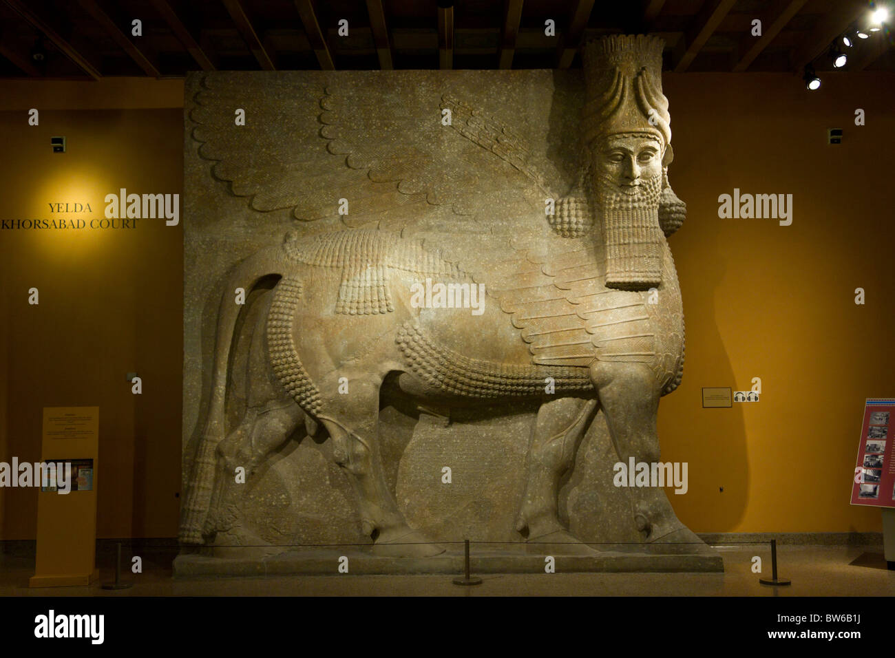 Ailé à tête humaine (bull) Lamassu de Khorsabad, Oriental Institute, University of Chicago's archaeology museum Banque D'Images
