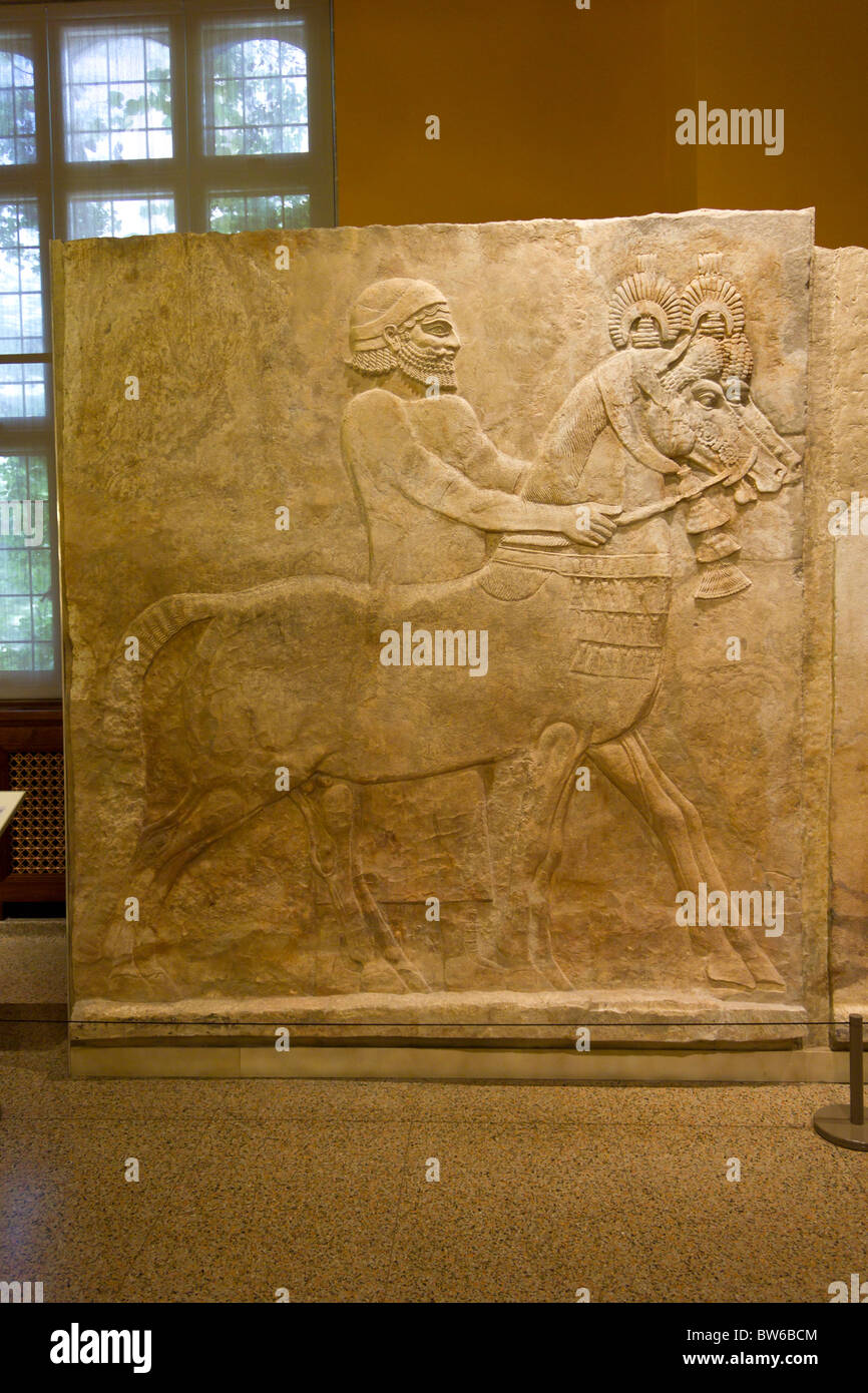 Bas-relief assyrien, l'Institut oriental de l'Université de Chicago, musée d'archéologie Banque D'Images