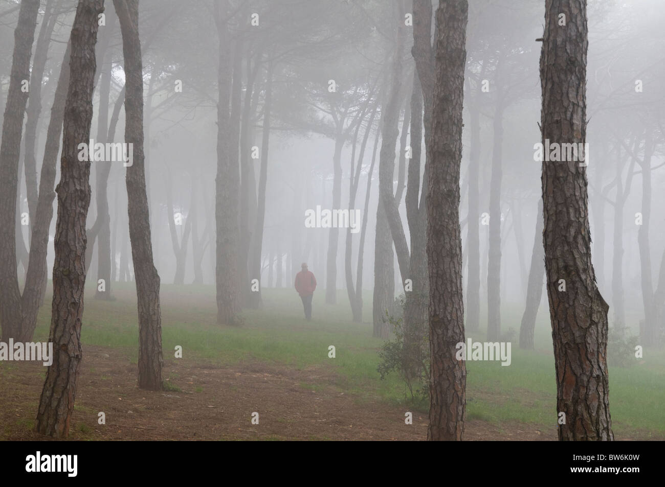 Un jour brumeux dans la colline de Camlica,Istanbul,Turquie Banque D'Images