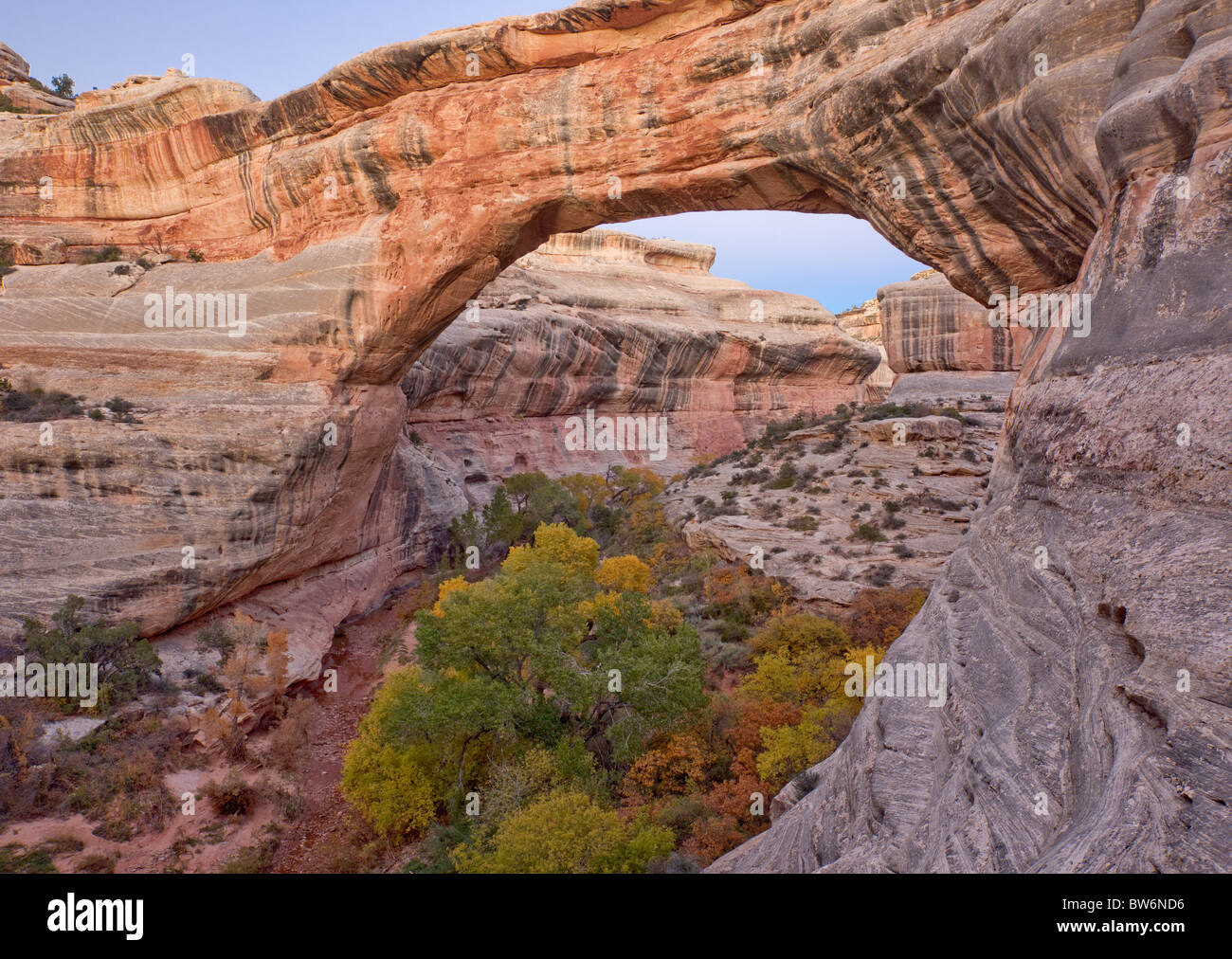 Sipapu Bridge, ponts National Monument (Utah) Banque D'Images