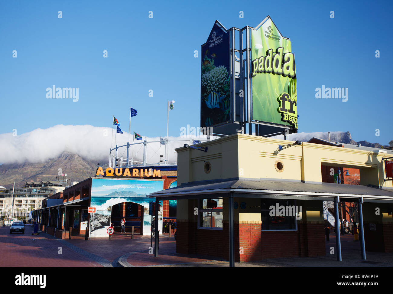 Two Oceans Aquarium, Victoria and Alfred Waterfront, Cape Town, Western Cape, Afrique du Sud Banque D'Images