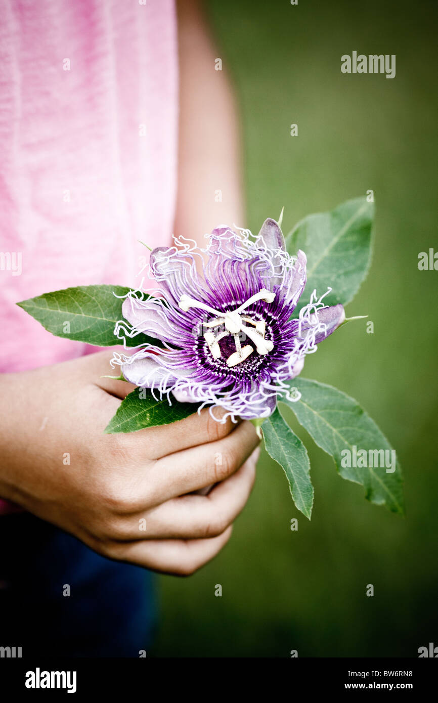 Enfant tenant une fleur de la passion. Banque D'Images