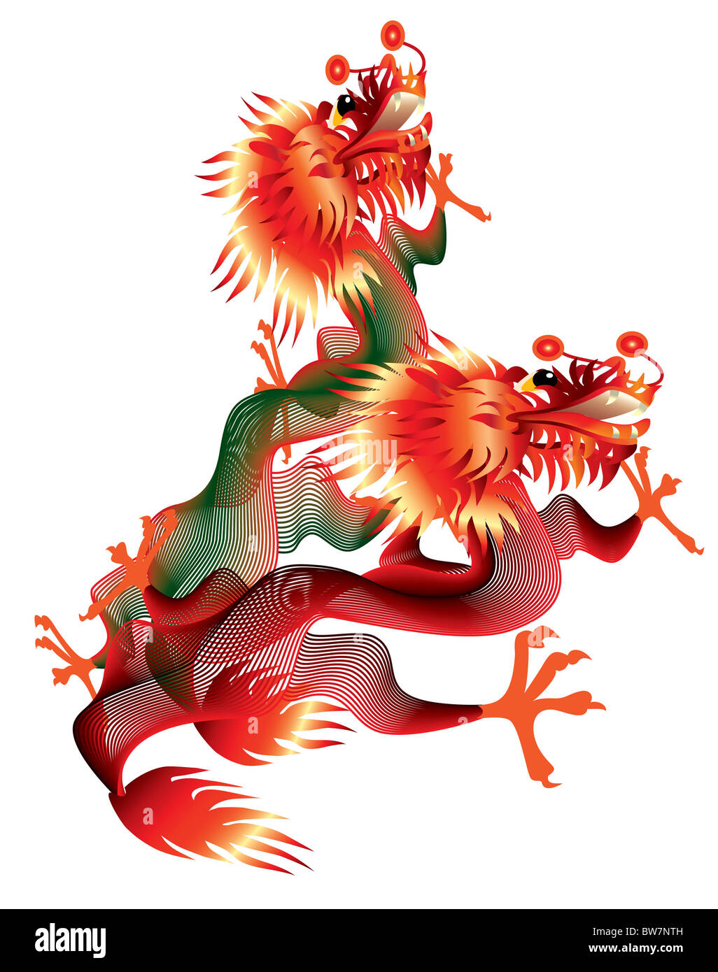 Deux dragons chinois sur fond blanc Banque D'Images